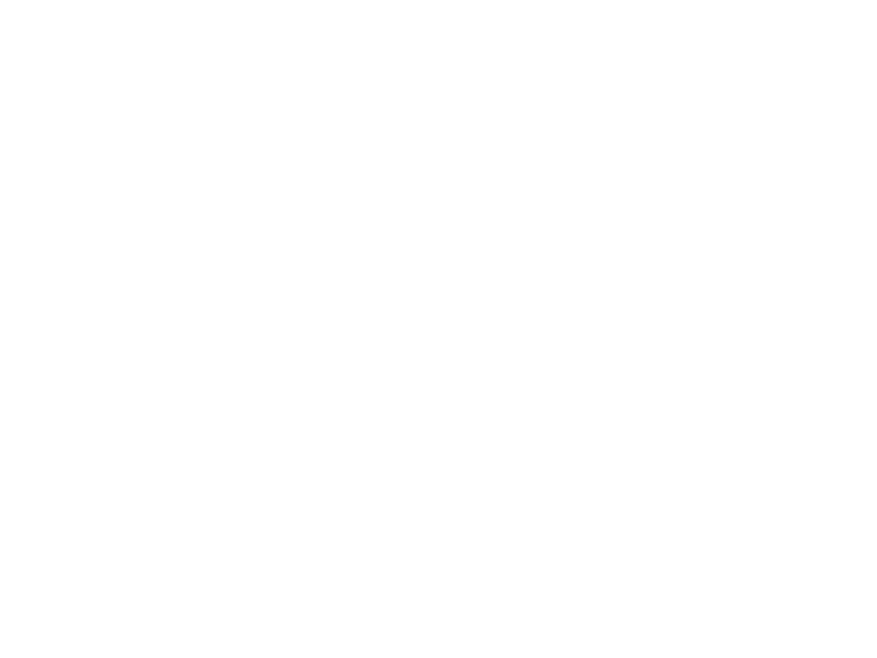Limbic Flow